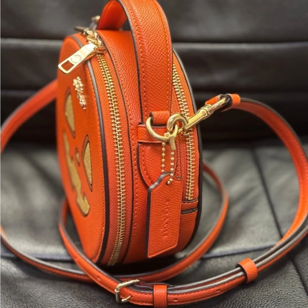 NWT Coach Canteen Crossbody Bag With Halloween Pumpkin Print CW468 - Picture 4 of 12